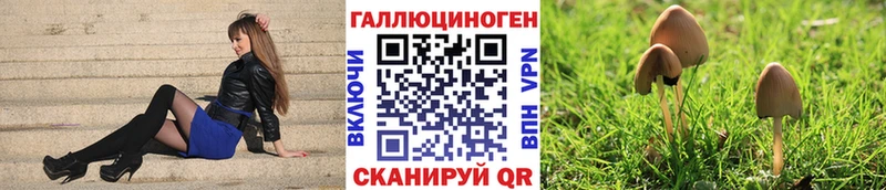 Псилоцибиновые грибы Magic Shrooms  Купить где  Тетюши 
